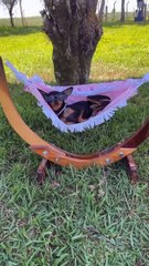 Still Swag Even When Lounging Around