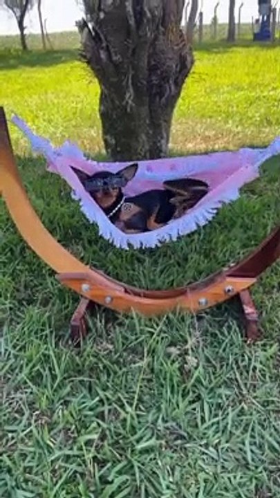 Still Swag Even When Lounging Around