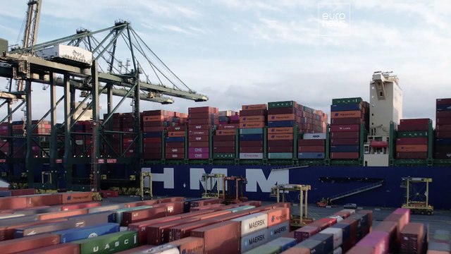In che modo il porto di Anversa punta a raggiungere la neutralità carbonica?