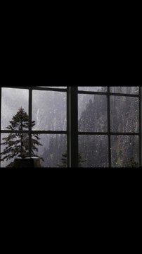 rain and thunder sounds | nature sounds | white noise rain