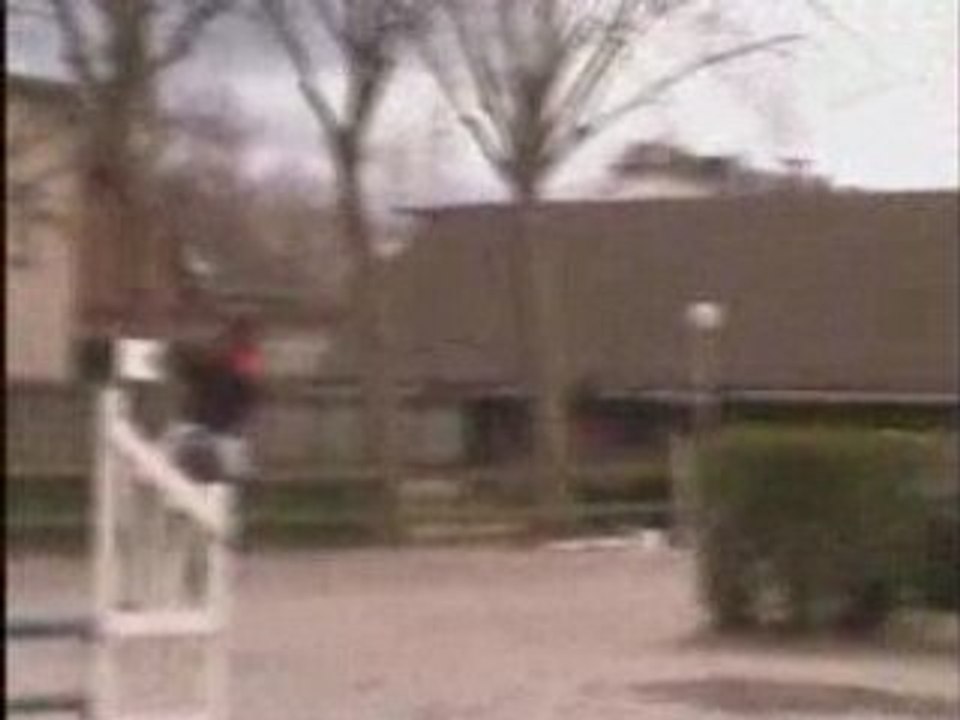 Claire & Moogly Cl3 16/03/08 Sheva