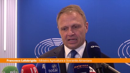 Migranti, Lollobrigida "Serve azione europea per evitare tragedie"