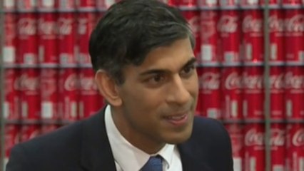 Sunak está "encantado" con el acuerdo sobre el protocolo norirlandés