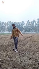 खेत ki RAKHVALI | Mini vlog | village life in India