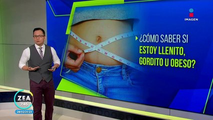 ¿Cómo saber si estoy "llenito", "gordito" u obeso?