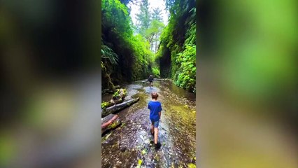 NEW VIDEO: Mum convinces her family to sell everything and live full-time in an RV