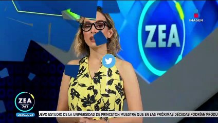 Yasmín Esquivel se ausenta de sesión de la SCJN