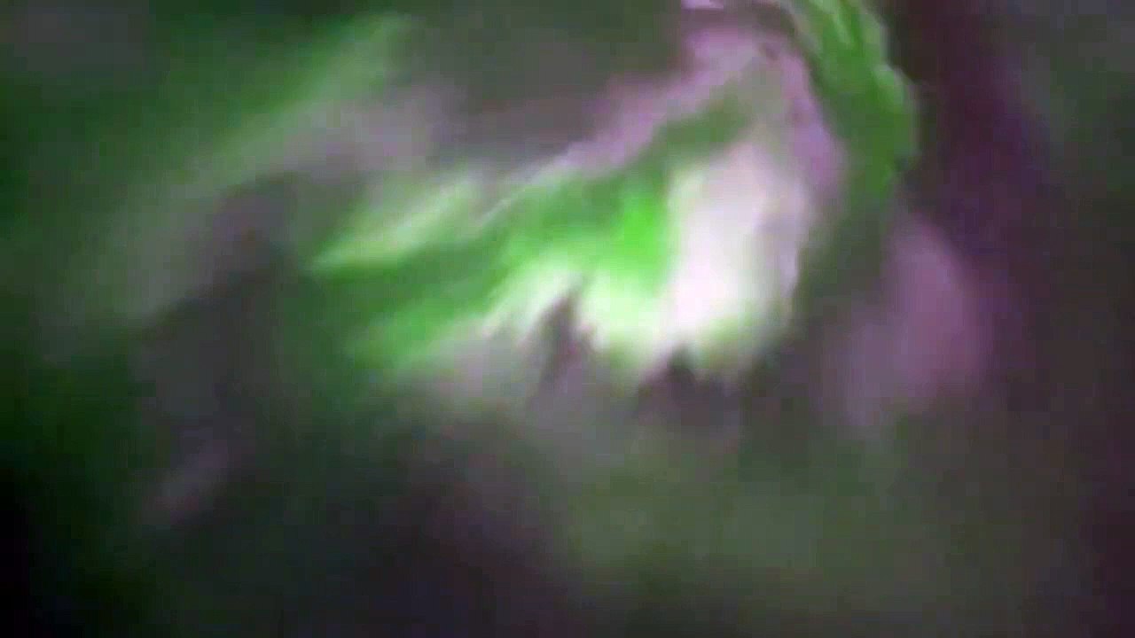 Northern Lights _ Aurora Borealis Over Calgary, Alberta, CA