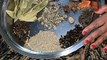 Ghar Ka Bana Garam Masala | How To Make Garam Masala Recipe | घर पर गरम मसाला बनाने का सरल तरीका |