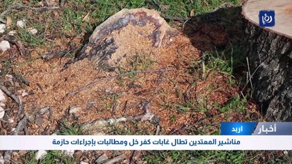 مناشير المعتدين تطال غابات كفر خل ومطالبات بإجراءات حازمة