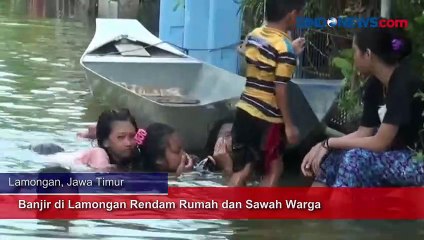 Banjir di Lamongan Rendam Rumah dan Sawah Warga