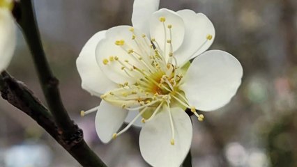 봄이 왔어요...'경칩' 앞두고 깨어난 동·식물 / YTN