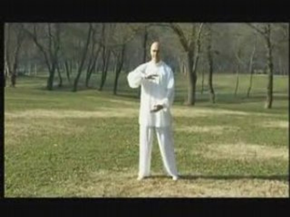 Bagua Zhang paume des huit trigrammes 2