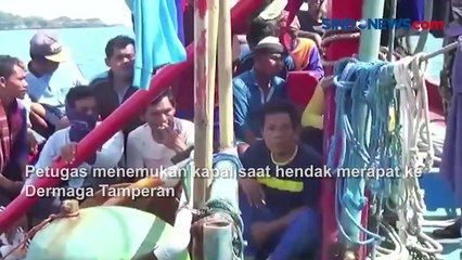Viral Video Penangkapan Lumba-lumba di Perairan Pacitan, 23 ABK Diamankan