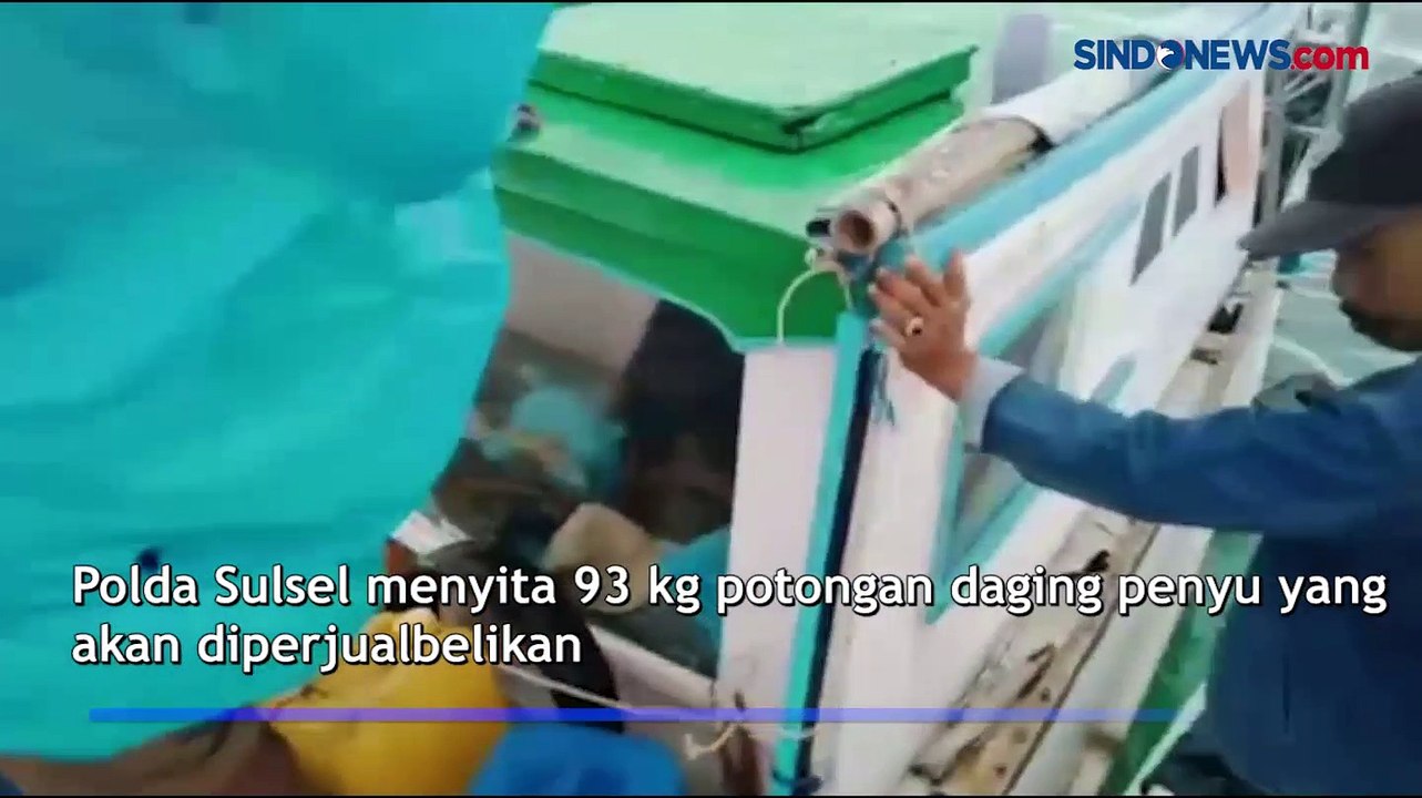 Sindikat Penyelundup 93 Kg Daging Penyu Ditangkap Polda Sulsel