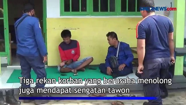 4 Petugas Damkar Tersengat saat Evakuasi Sarang Tawon di Probolinggo