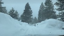 California neighbourhood covered in thick blanket of snow as rare winter storm sweeps state