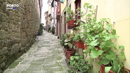 Assembleia Municipal do Porto pede a Governo para reverter suspensão de Alojamento Local