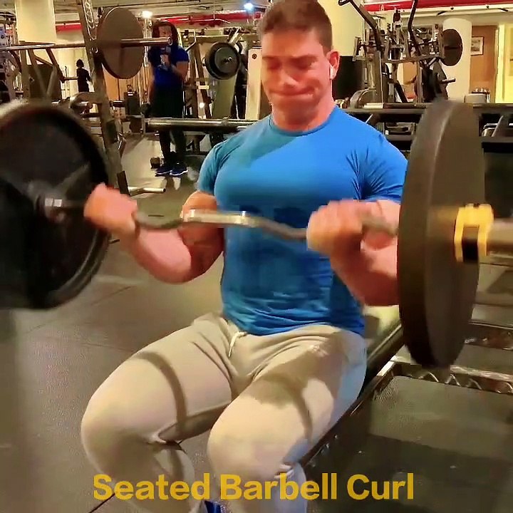Seated Barbell Curl Build Bigger Bicep Peak