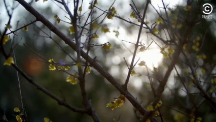 Full On Shaolin Kung Fu Training _ Joel & Nish Vs The World _ Comedy Central   Daily Funny   Funny Video   Funny Clip   Funny Animals