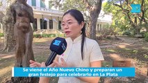 Se viene el Año Nuevo Chino y preparan un gran festejo para celebrarlo en La Plata - Profesora Long Minli, Directora china del Instituto Confucio UNLP - XISU