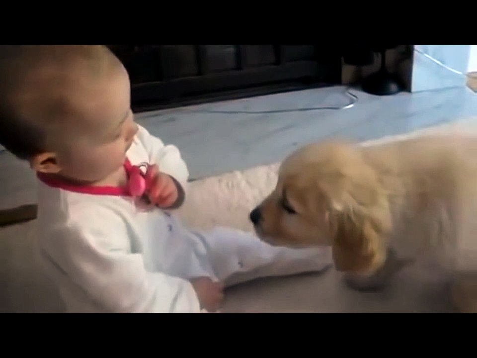 FUNNY VIDEOS - Funny Fails, Funny Pranks and Funny vines _ People are Awesome