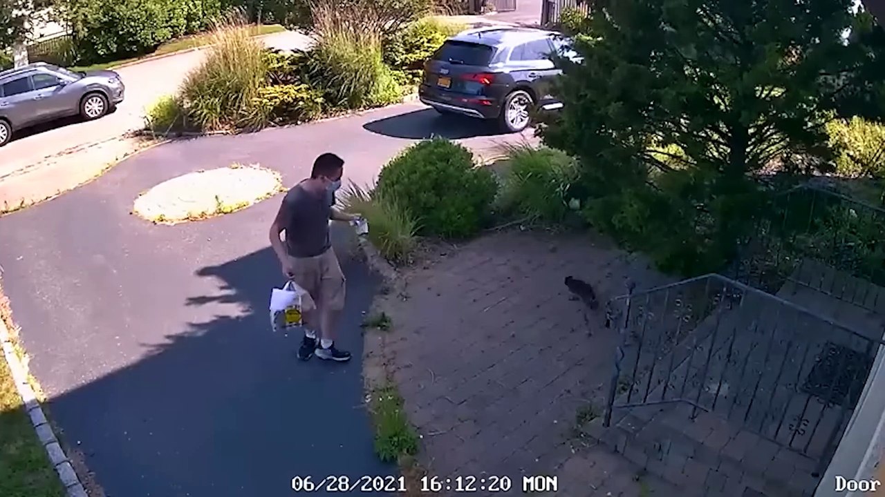 200 Cosas Increíbles Captadas por las Cámaras. Lo Mejor Del Mes