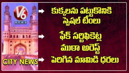 Mayor Review Meeting On Dogs Control _ Fake Certificates Gang _ Mango Price Hike_V6 Hamara Hyderabad