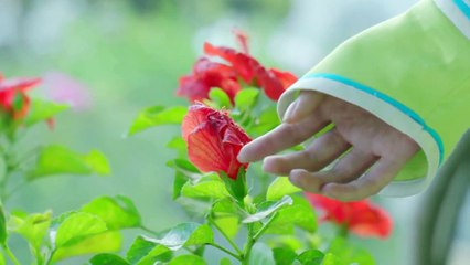 Rule the World 【独步天下】EP 08 Chinese Drama [ENGSUB] THE BEST FILM