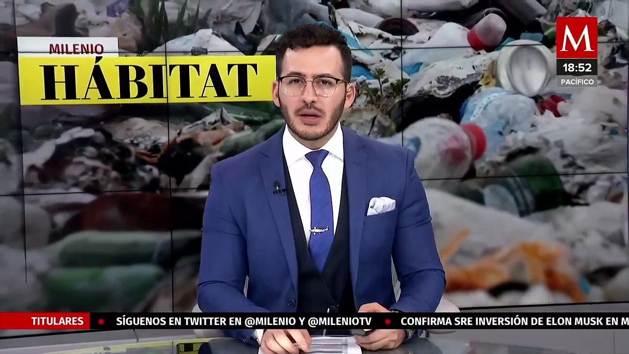 Inicia antes de lo previsto la temporada de sargazo en Quintana Roo | Milenio Hábitat