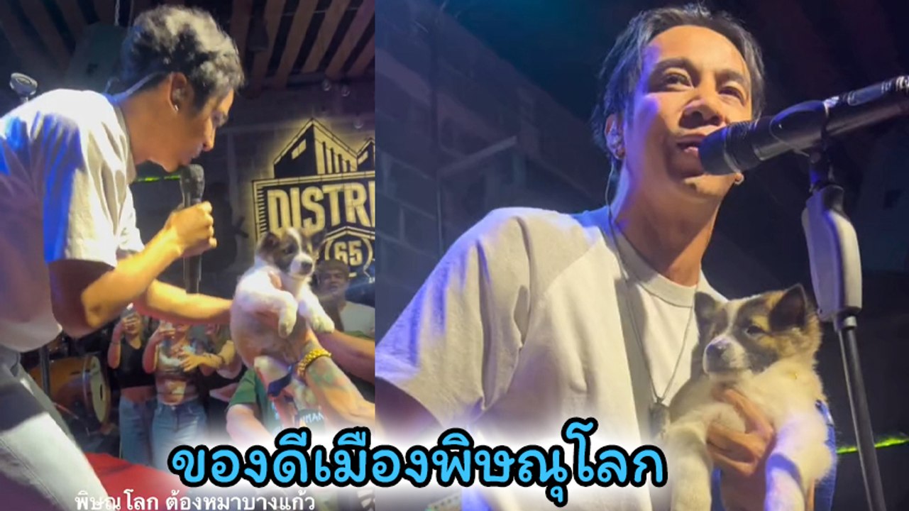 ก้อง ห้วยไร่ เจอแฟนเพลง มอบน้องหมาพันธุ์บางแก้ว ให้หน้าเวที ก็อุ้มร้องไปเลยจ้า