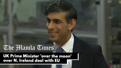 UK Prime Minister 'over the moon' over N. Ireland deal with EU