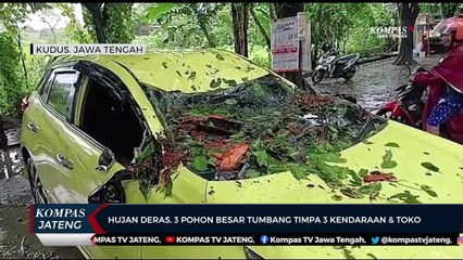 Hujan Deras, 3 Pohon Besar Tumbang Timpa 3 Kendaraan dan Toko