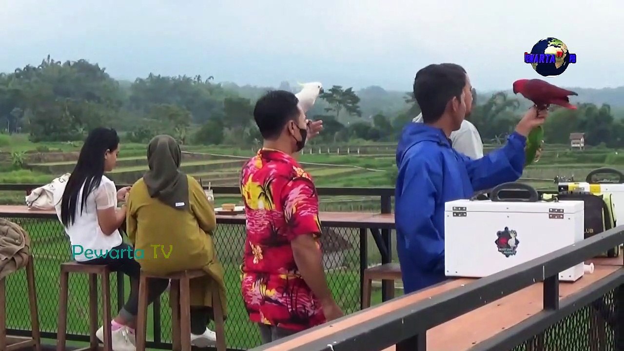 Serunya Bermain Fre Flay Burung di Lereng Lawu
