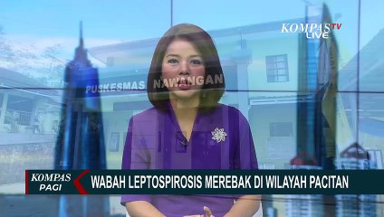 Wabah Leptospirosis Merebak di Pacitan, 24 Warga Dinyatakan Positif!