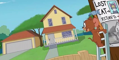 The Tom and Jerry Show S02 E14