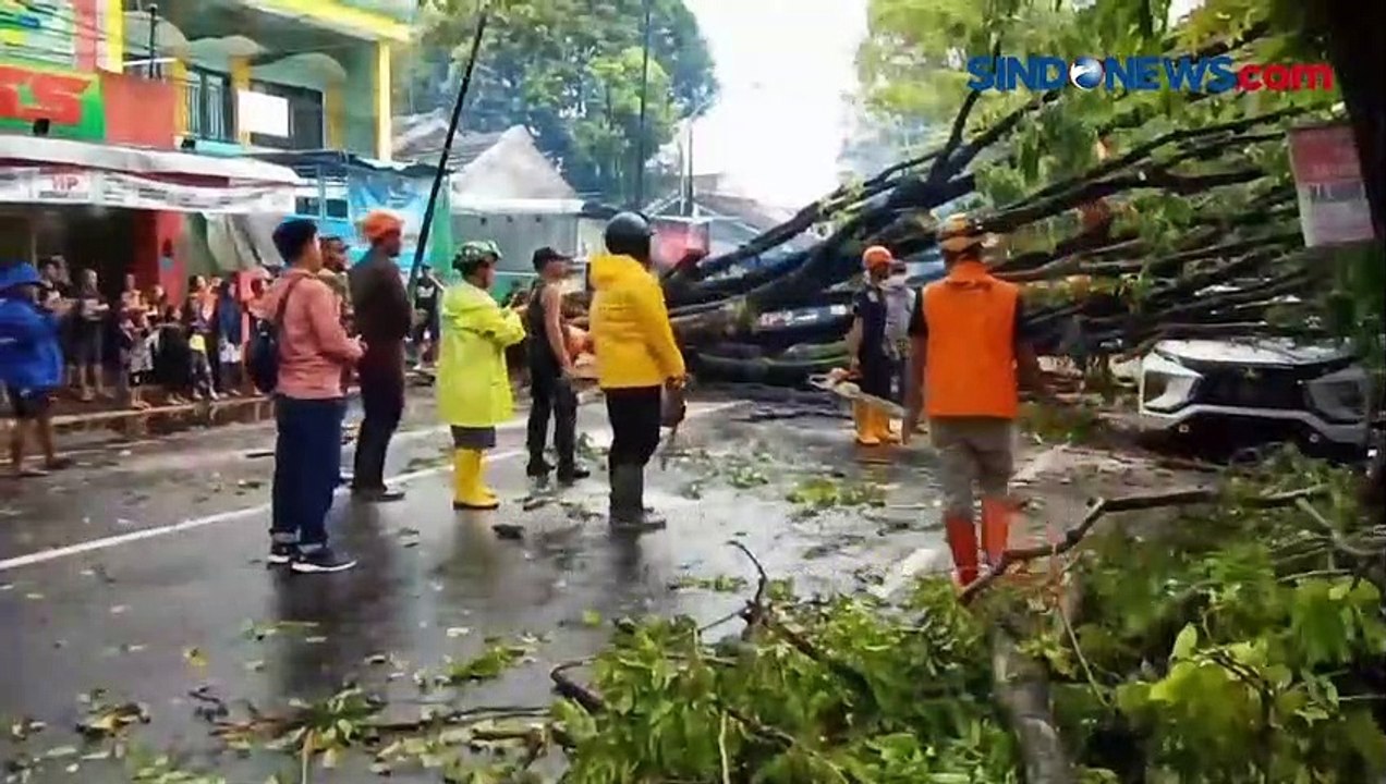 Diterjang Puting Beliung, Pohon Tumbang Timpa Mobil dan Pendopo Bupati Lumajang