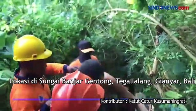 Mabuk, Bule Rusia Terjun ke Jurang di Tegallalang Gianyar