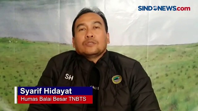 Macan Kumbang Turun Gunung di Lumajang Terekam CCTV