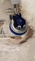 Incredibly Cute Pattern Revealed On This Rug