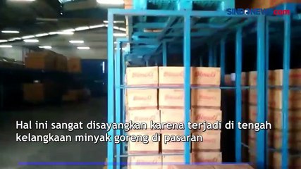 Di Tengah Kelangkaannya, Ditemukan 1,1 Juta Kilogram Minyak Goreng Ditimbun di Deliserdang