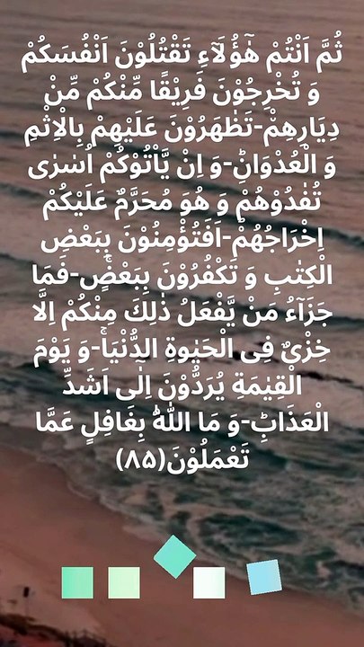 Quran Surah Al Baqarah verse 85 Arabic Urdu English translation Islamic shorts no music content