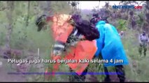 Beginilah Detik-detik Polisi Temukan 6,28 Hektare Ladang Ganja di Aceh Utara