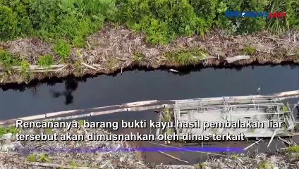 Polda Jambi Amankan Ratusan Kayu Log dan Papan Ilegal Diperbatasan Jambi-Sumsel