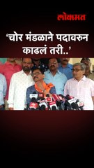 ‘चोर मंडळाने पदावरुन काढलं तरी..’