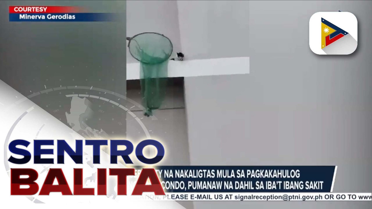 Pusa sa Cebu City na nakaligtas mula sa pagkakahulog sa 16th floor ng isang condo, pumanaw na dahil sa iba’t ibang sakit