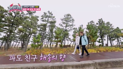 강릉에서의 첫 훈련 & 여행 코스는?! 하늘 자전거 TV CHOSUN 230301 방송