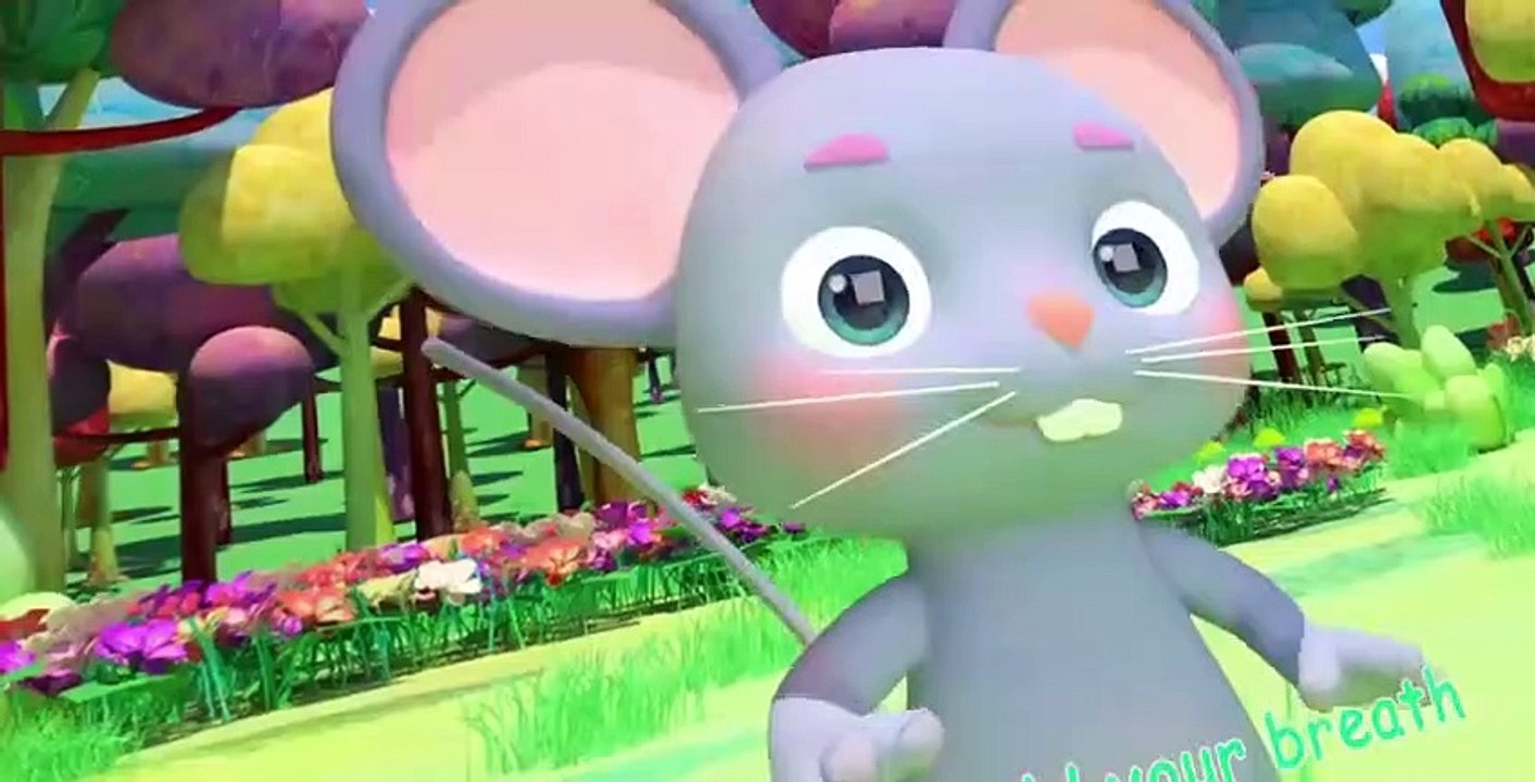 CoComelon S03 E02