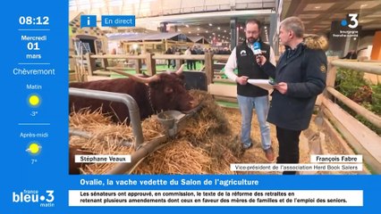 En direct du Salon de l'agriculture 2023 : Francois Fabre, vice président du herd book salers