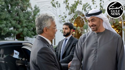 King of Malaysia meets with UAE President in Abu Dhabi